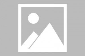 Ubisoft说,不要将刺客的信条阴影的成功与瓦尔哈拉进行比较:后者在Covid的“ Perfect Storm”中推出,而对平台上的反馈则不受评论轰炸的影响,这是出色的 Ubisoft说,不要将刺客的信条阴影的成功与瓦尔哈拉进行比较:后者在Covid的“ Perfect Storm”中推出,而对平台上的反馈则不受评论轰炸的影响,这是出色的